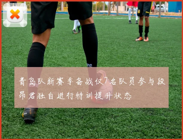 青岛队新赛季备战仅7名队员参与段昂君独自进行特训提升状态